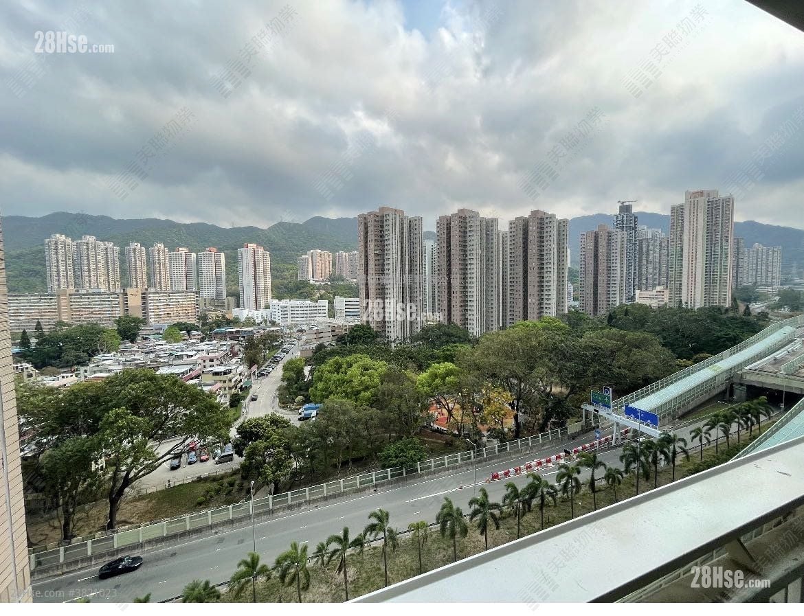 Festival City Sell 3 Bedrooms 742 ft²