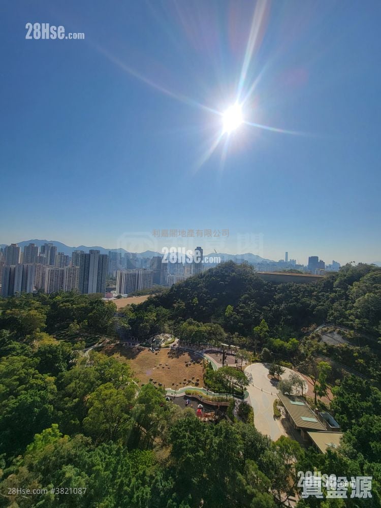 峻弦 租盘 4 房 , 4 浴室 1,342 平方尺