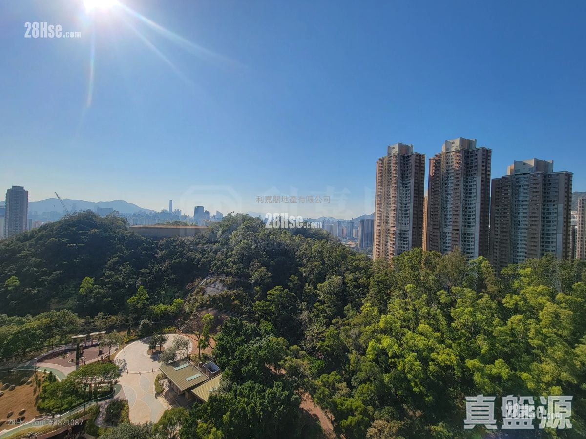 峻弦 租盘 4 房 , 4 浴室 1,342 平方尺