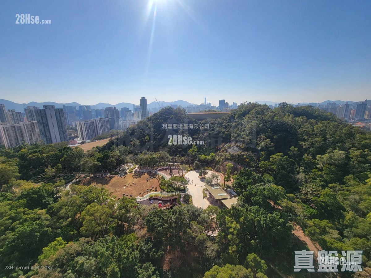 峻弦 租盘 4 房 , 4 浴室 1,342 平方尺