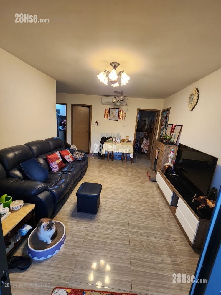 大樹下 Sell 700 ft²