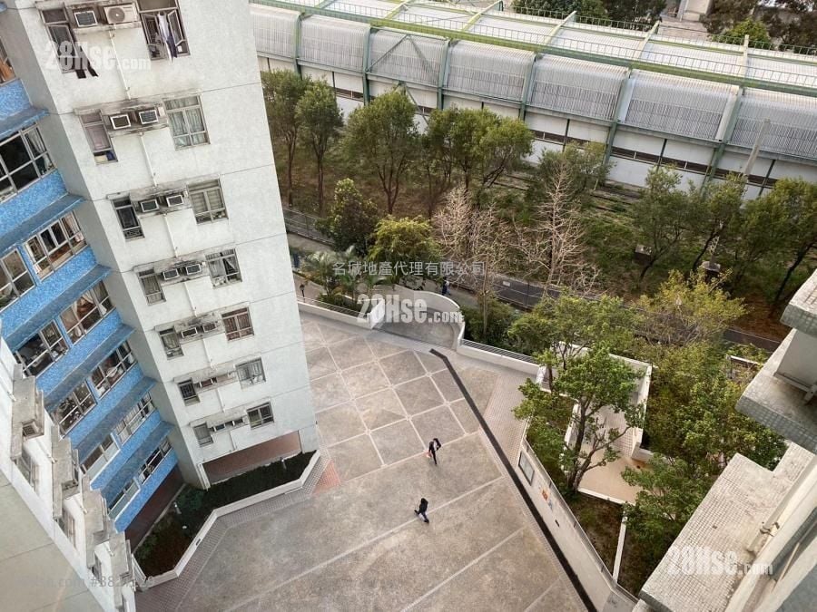 文禮閣 售盤 637 平方呎