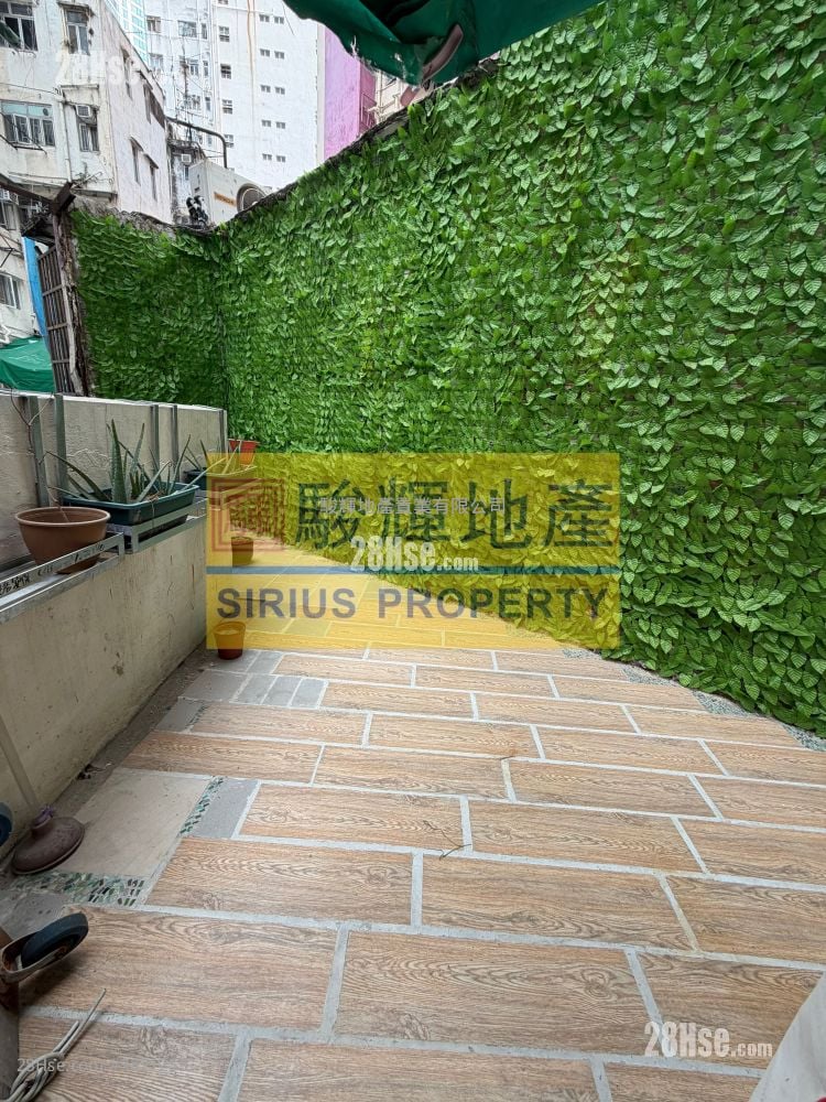 长旺大厦 售盘 开放式间隔 , 1 浴室 210 平方尺