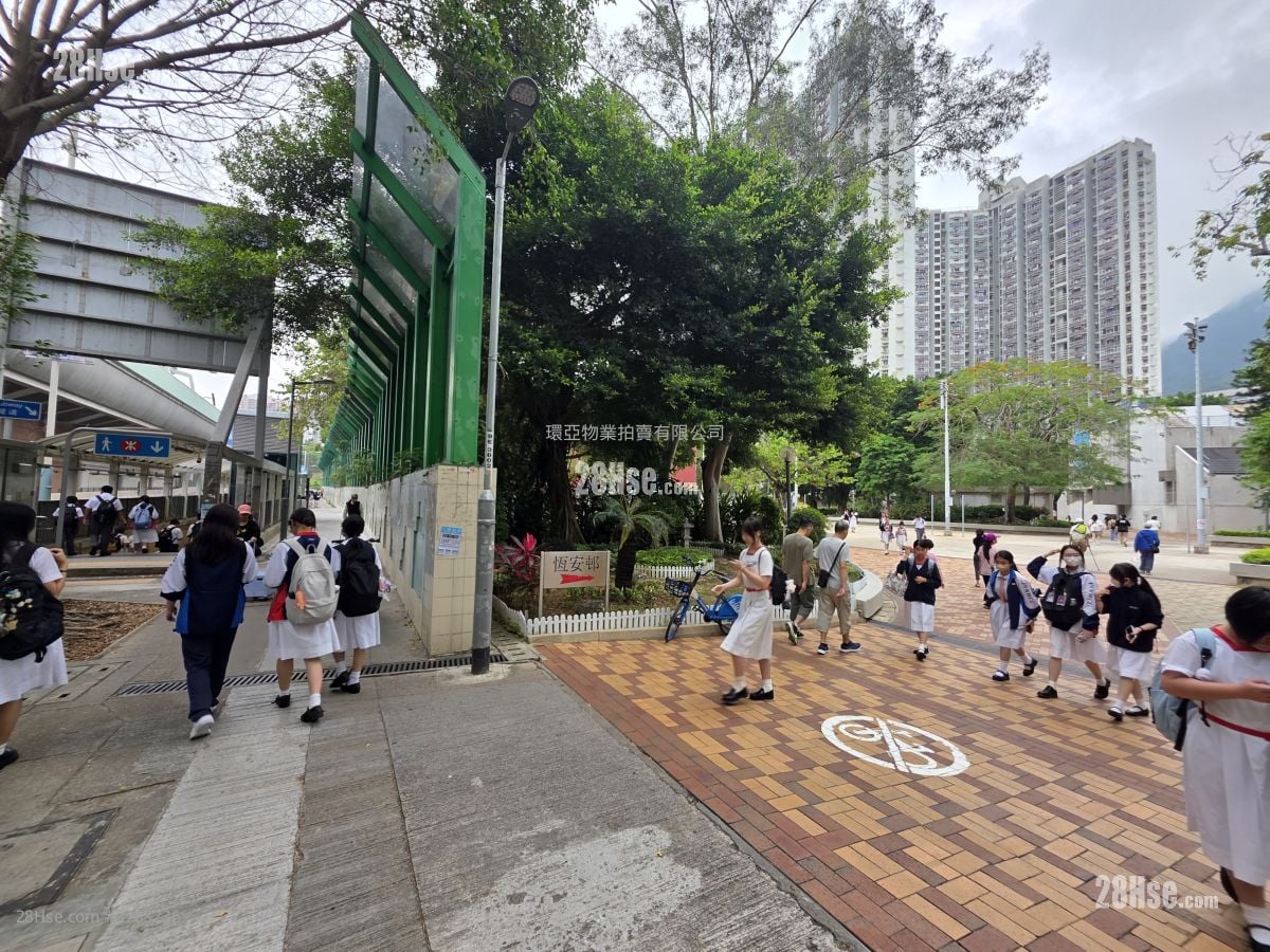恆安邨 售盤 開放式間隔 , 1 浴室 349 平方呎