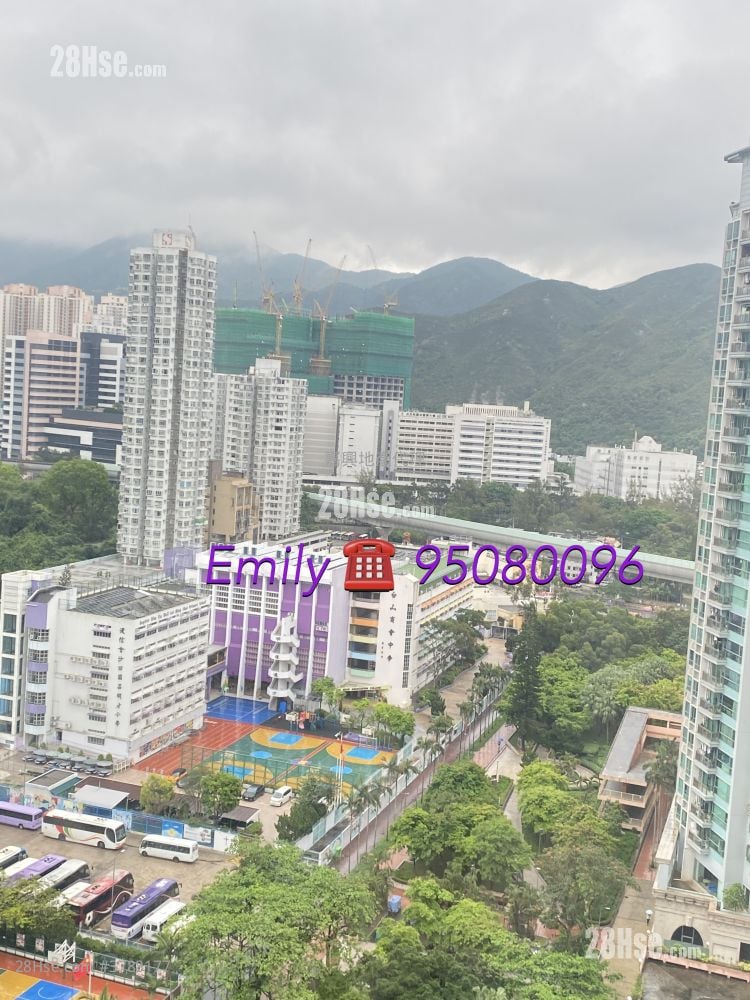 河畔花園 租盤 1 房 , 1 浴室 269 平方呎