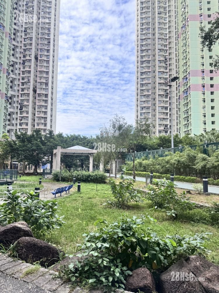 錦豐苑 售盤 1 房 , 1 浴室 432 平方呎