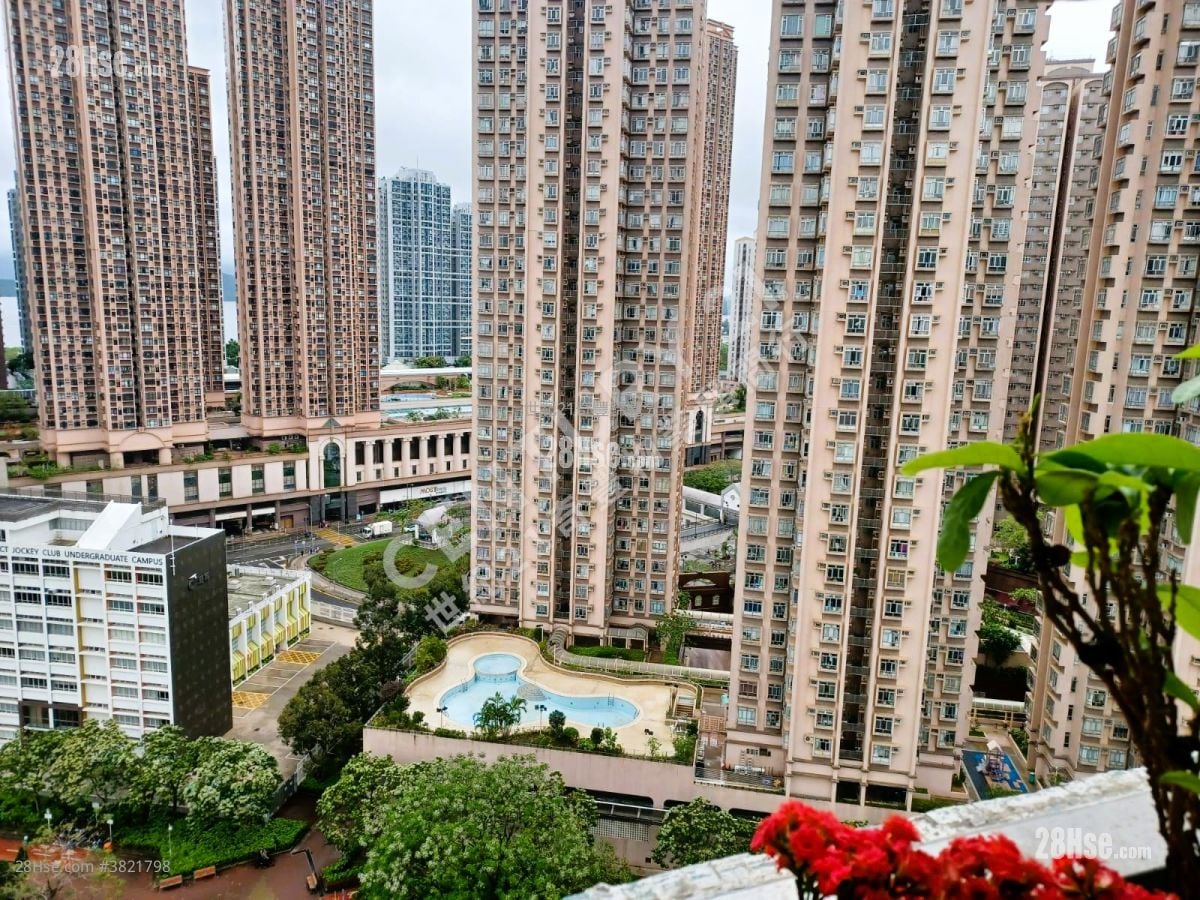 Kam Hay Court Sell 3 Bedrooms , 1 Bathroom 554 ft²