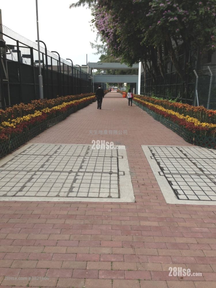 Wun Sha Tower Sell 2 Bedrooms , 1 Bathroom 527 ft²