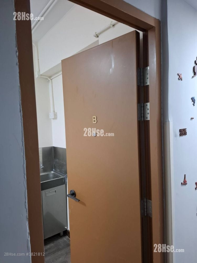 赫德道11A-11D號 租盤 5+ 房 , 5+ 浴室 90 平方呎