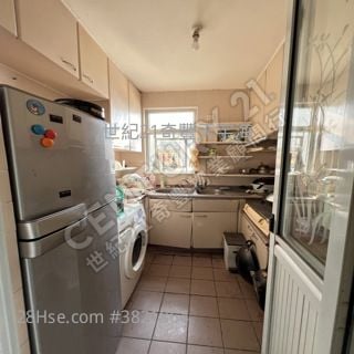   Leo 譚生可傾白居二 +綠表 63050330