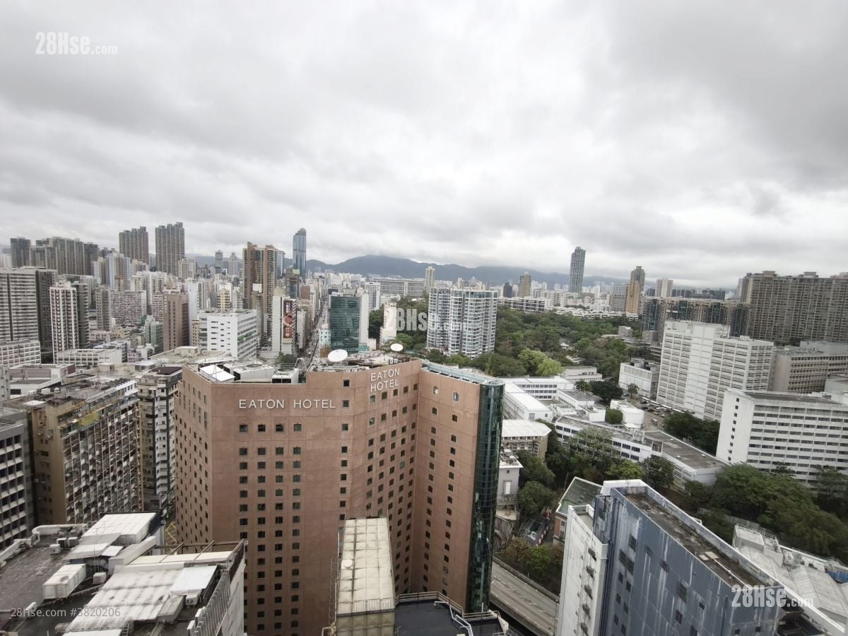 高临 租盘 1 房 , 1 浴室 272 平方尺