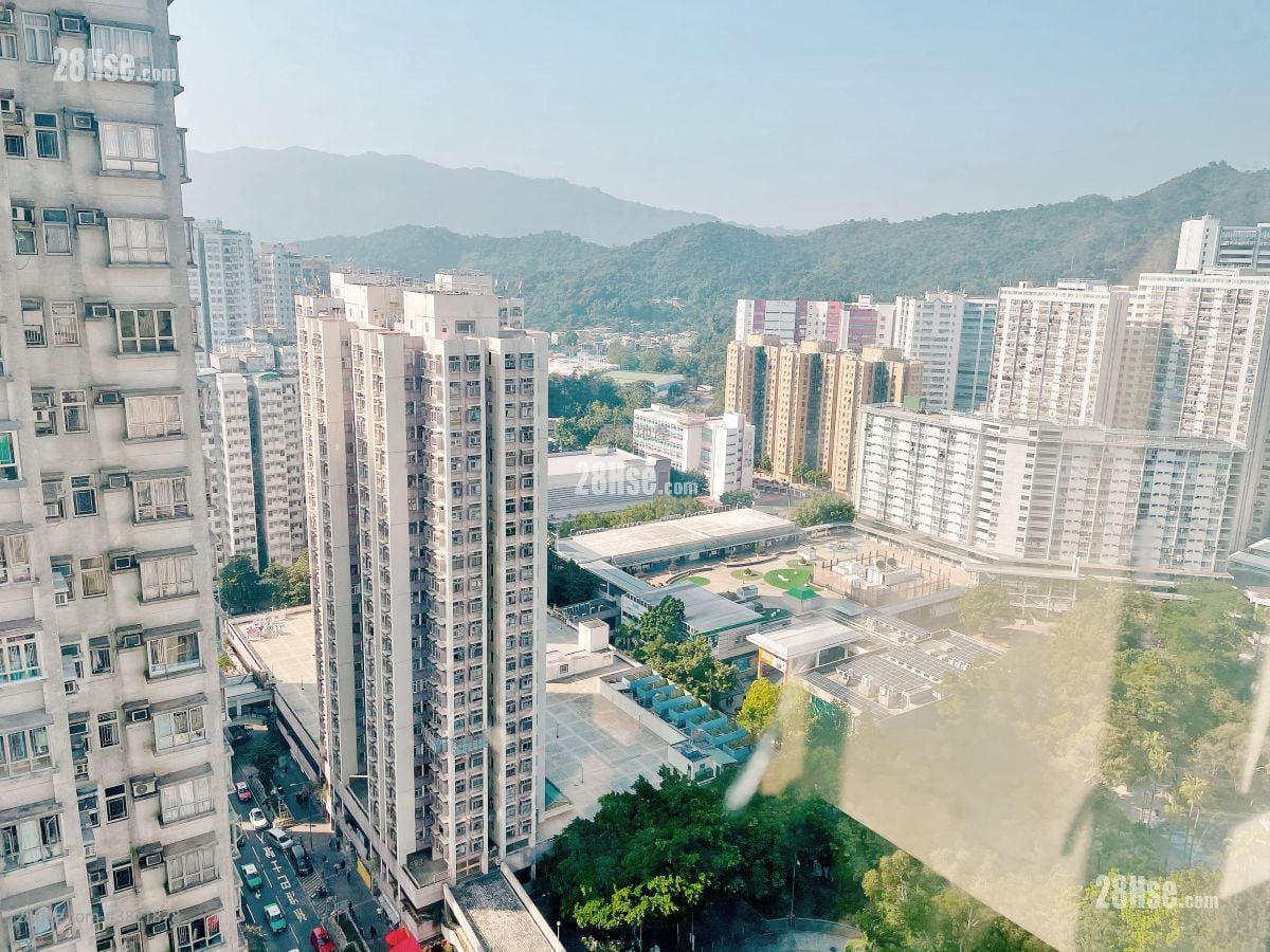 大埔中心 租盘 361 平方尺