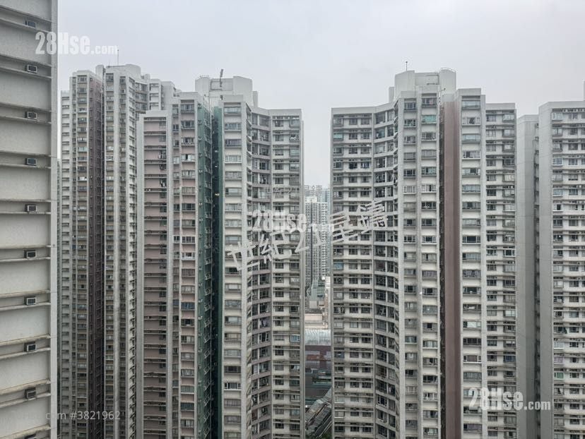 South Horizons Rental 2 Bedrooms 516 ft²