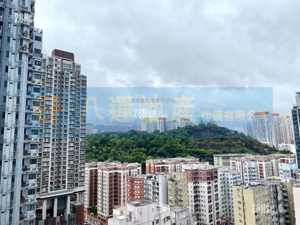 Giovane Rental 1 Bedroom , 1 Bathroom 226 ft²