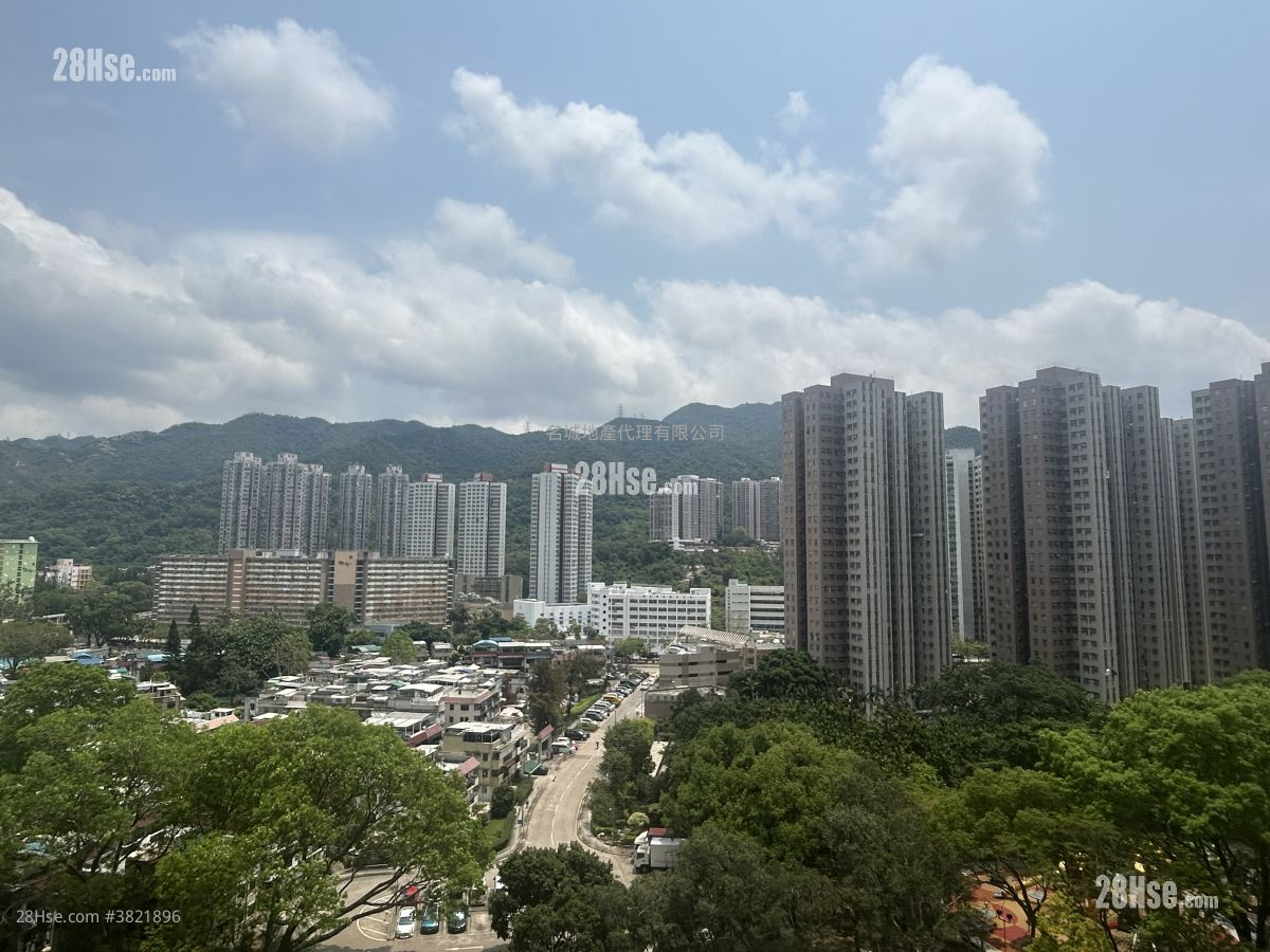 名城 售盤 3 房 , 2 浴室 742 平方呎