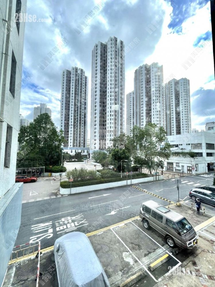 綠楊新邨 售盤 445 平方呎