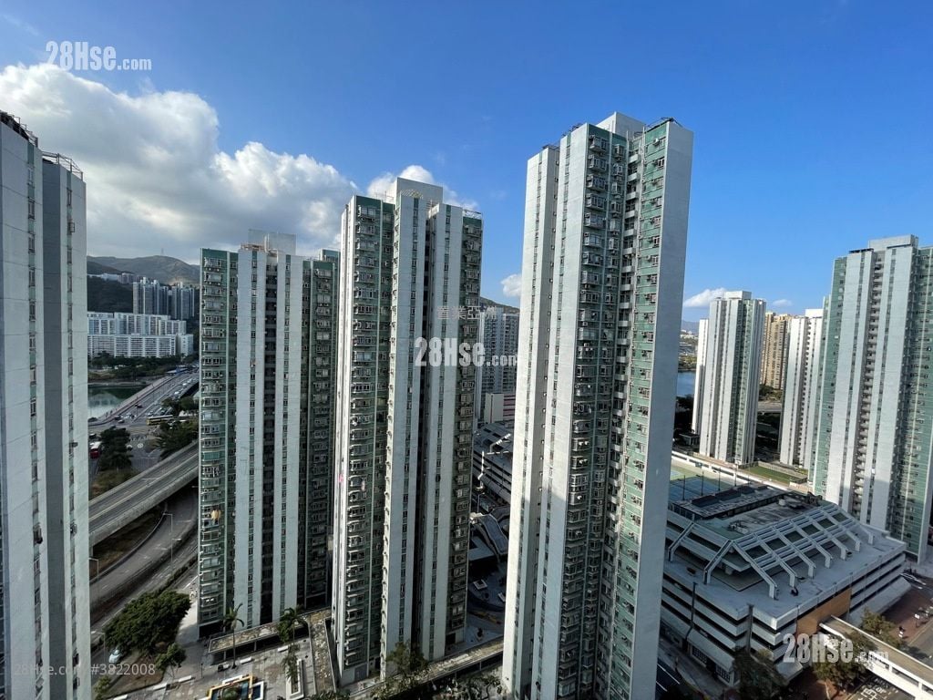 沙田第一城 租盘 2 房 , 1 浴室 304 平方尺