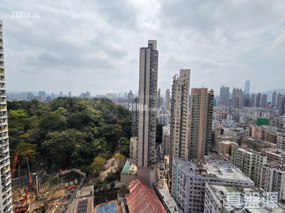 Belgravia Place 租盘 1 房 266 平方尺