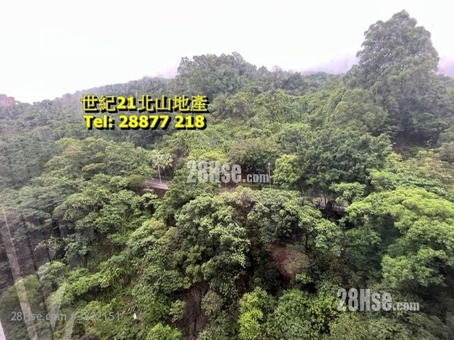 Dragon Court Rental 3 Bedrooms , 2 Bathrooms 1,143 ft²