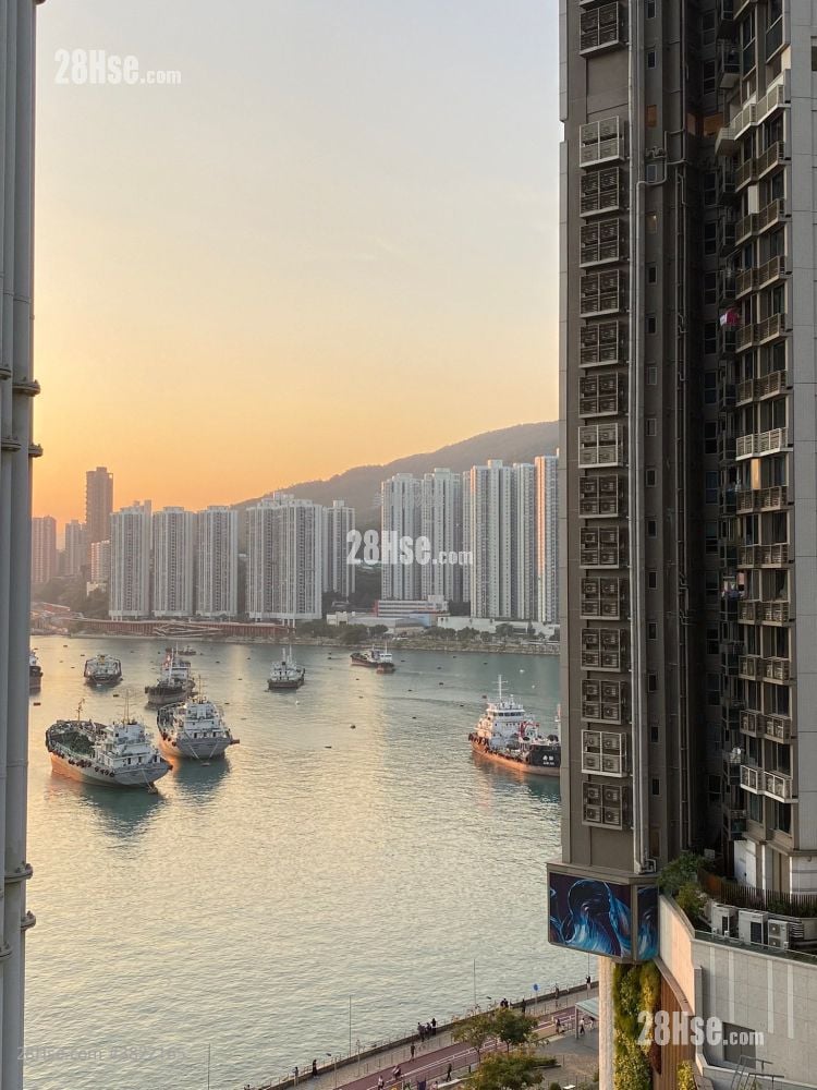 海之戀 租盤 2 房 , 1 浴室 528 平方呎