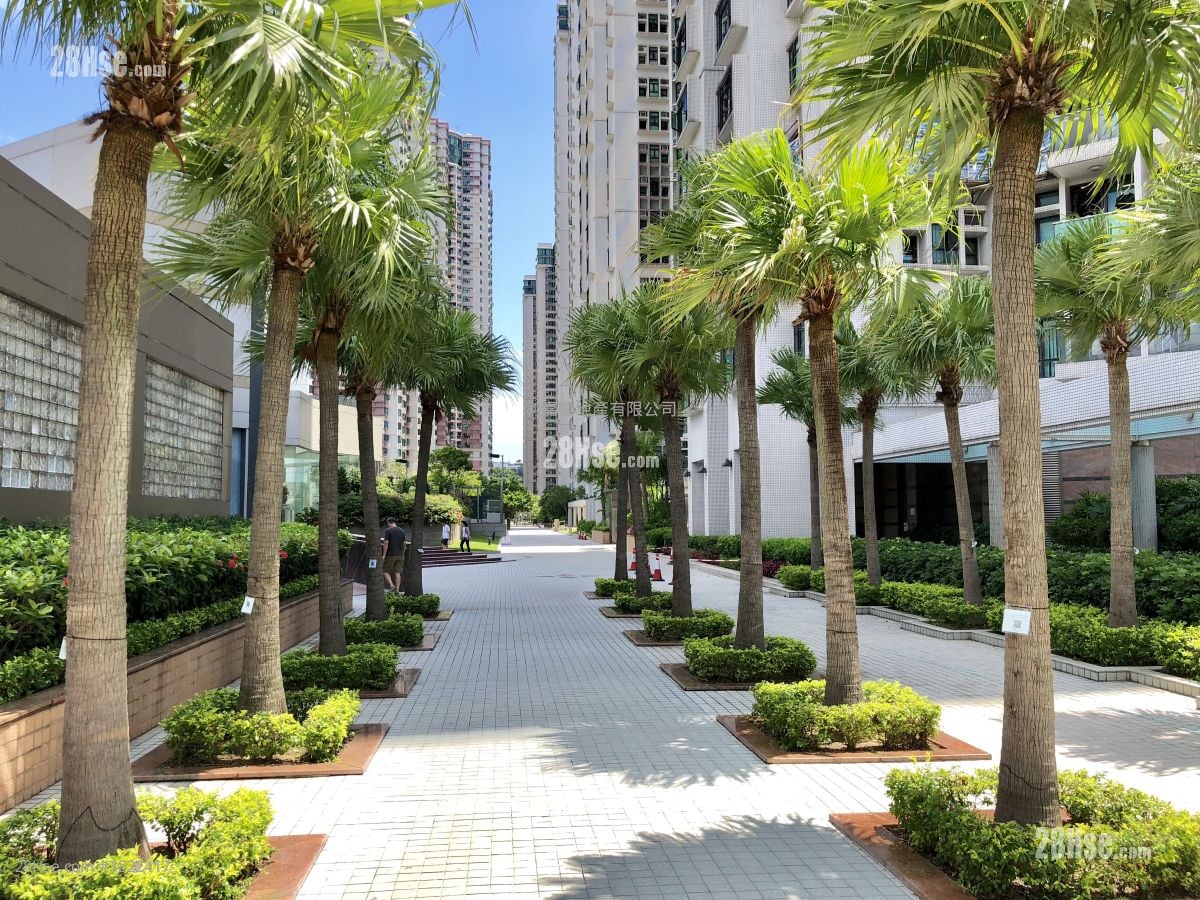 骏景园 租盘 3 房 , 2 浴室 1,370 平方尺