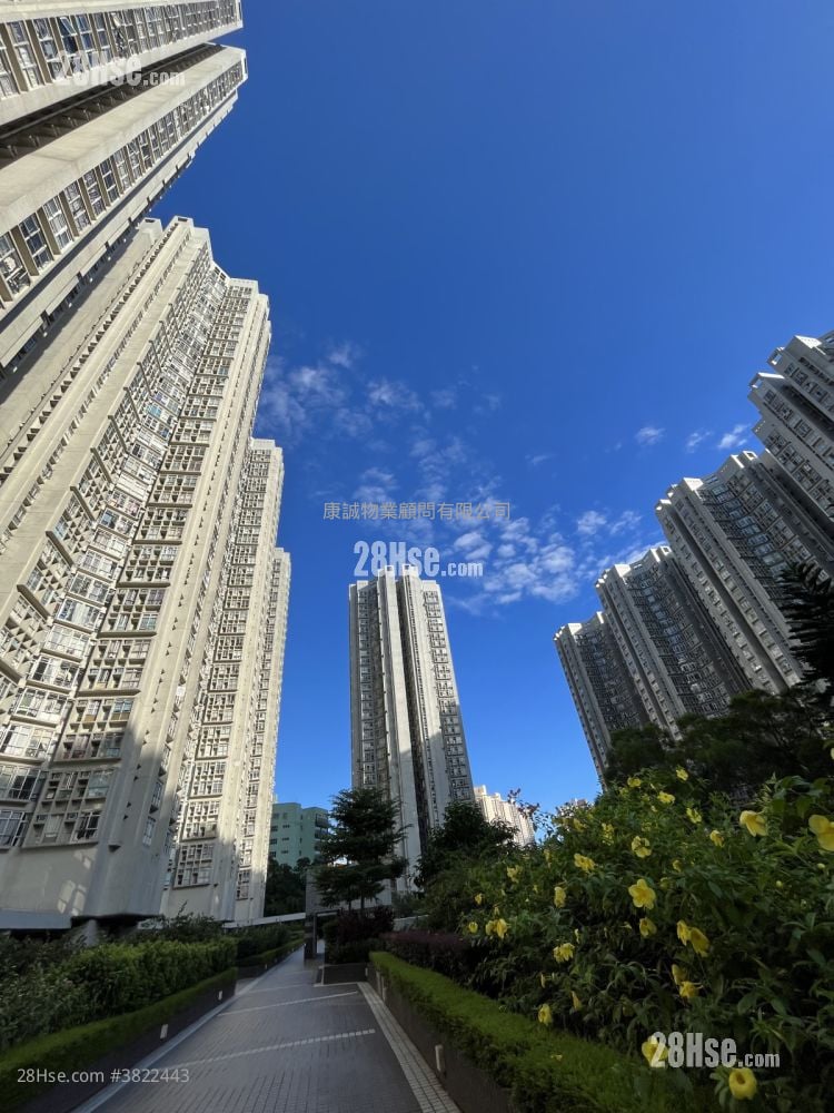 汇景花园 租盘 3 房 , 1 浴室 614 平方尺