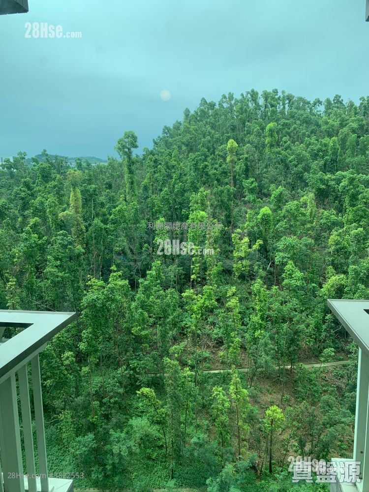 峻瀅 售盤 2 房 , 1 浴室 498 平方呎