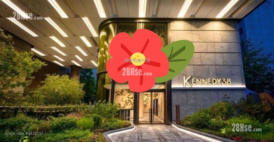 Kennedy 38 租盤 開放式間隔 , 1 浴室 260 平方呎