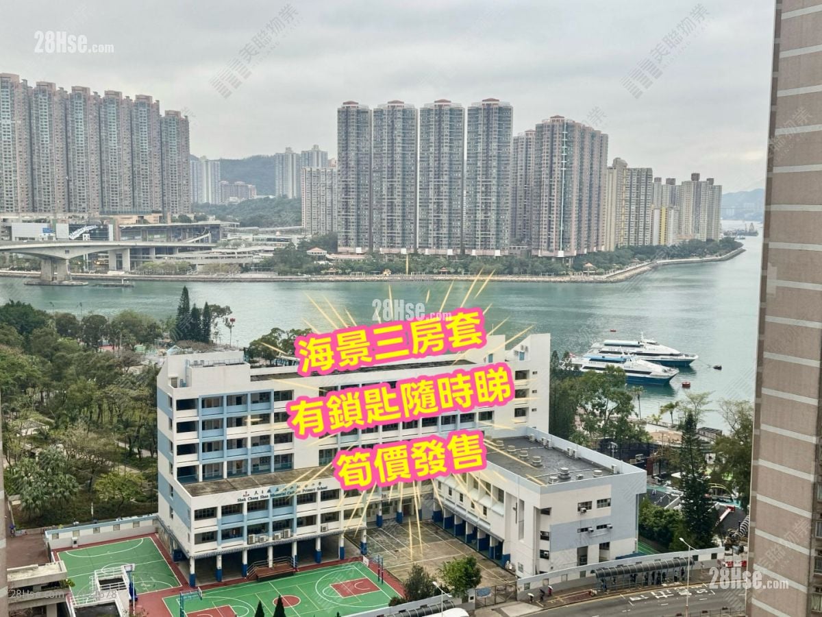 环宇海湾 售盘 3 房 713 平方尺