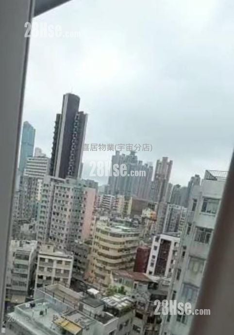 慧贤阁 售盘 290 平方尺