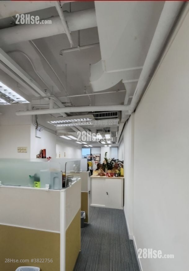 Kodak House Ii Rental