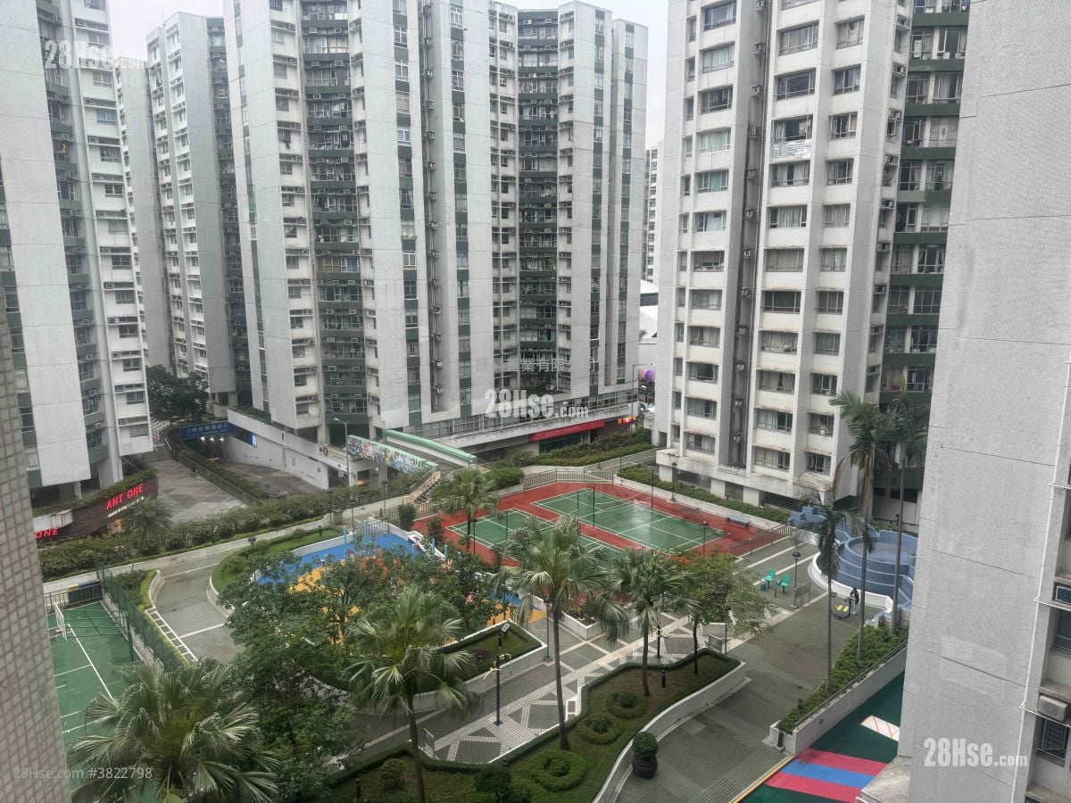 黄埔花园 售盘 3 房 , 2 浴室 732 平方尺