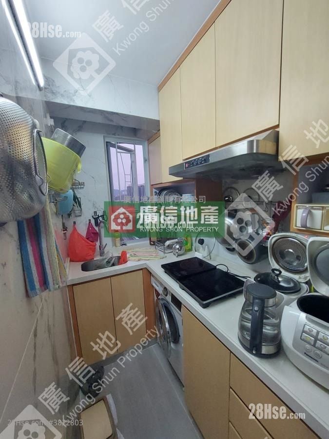 Shun Hing Building Rental 1 Bedroom , 1 Bathroom 312 ft²