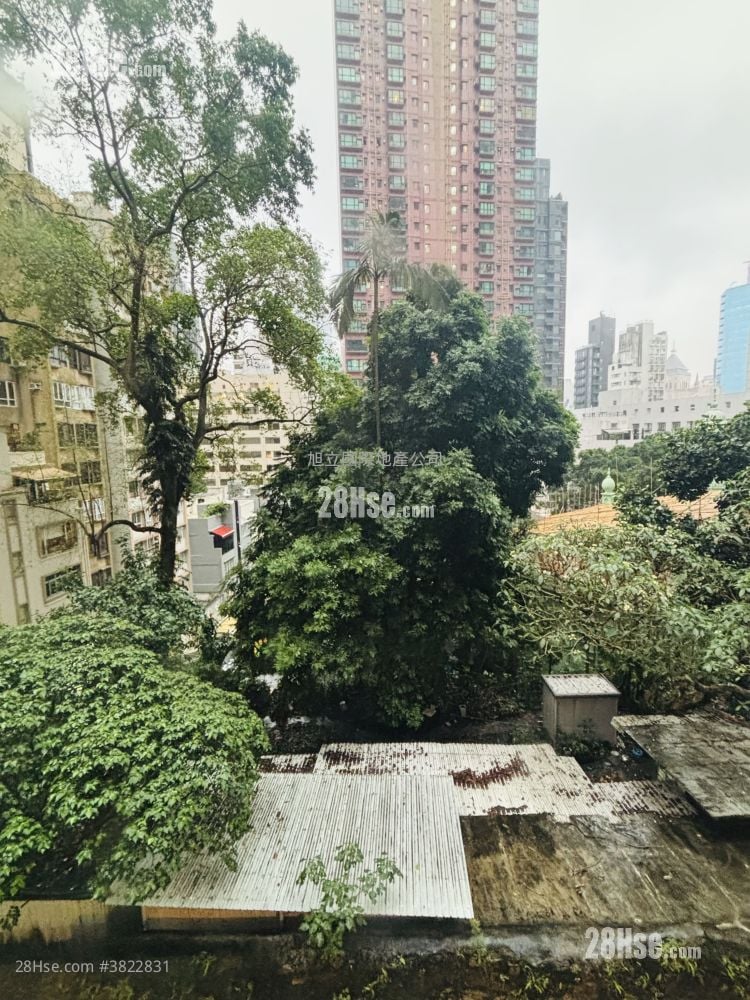 嘉怡閣 租盤 1 房 , 1 浴室 341 平方呎