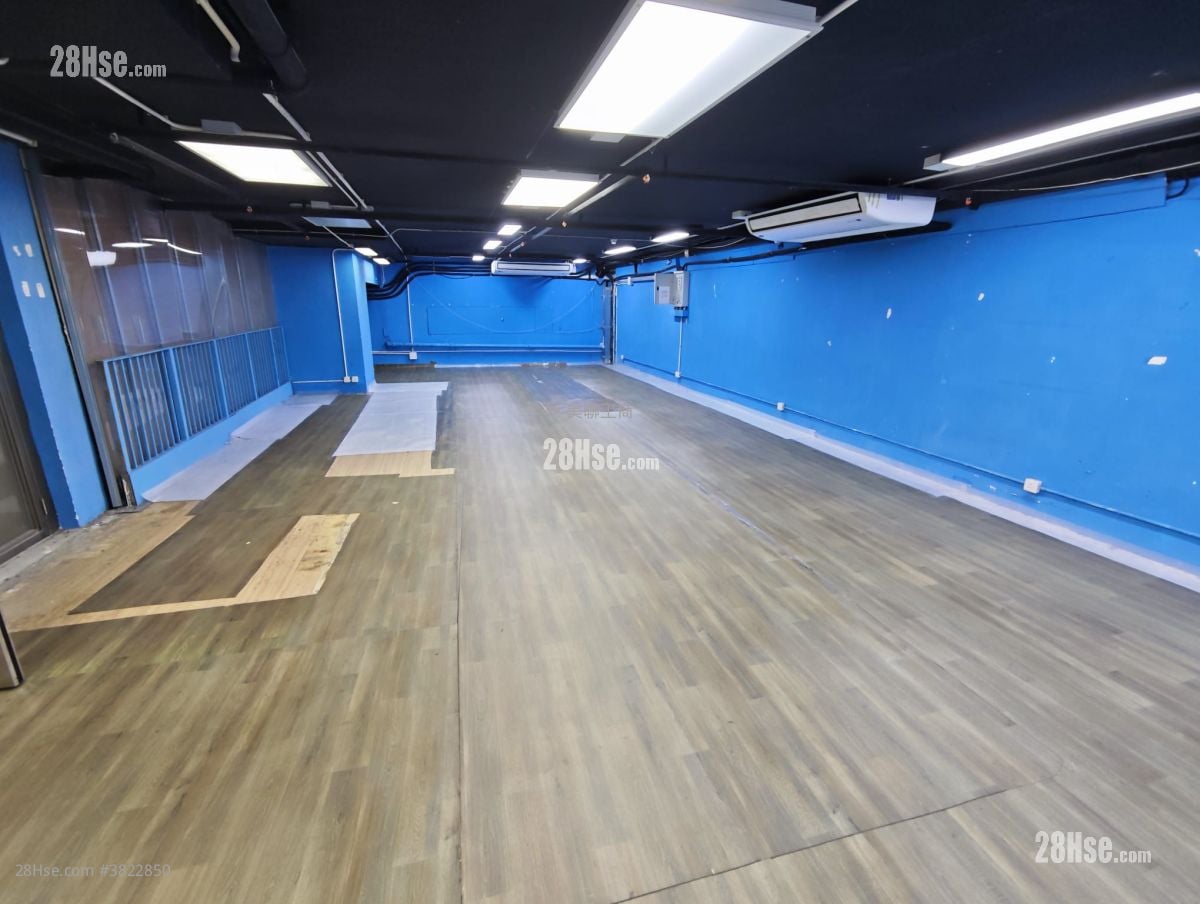 駱駝漆大廈 租盤