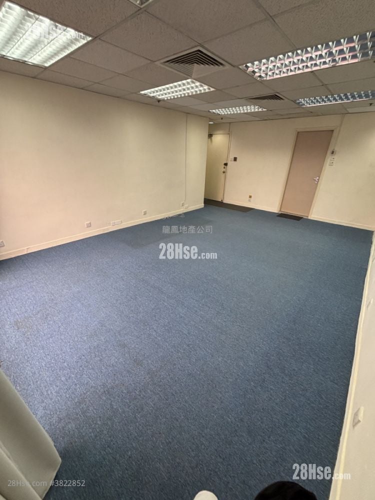 海岛中心 租盘 385 平方尺