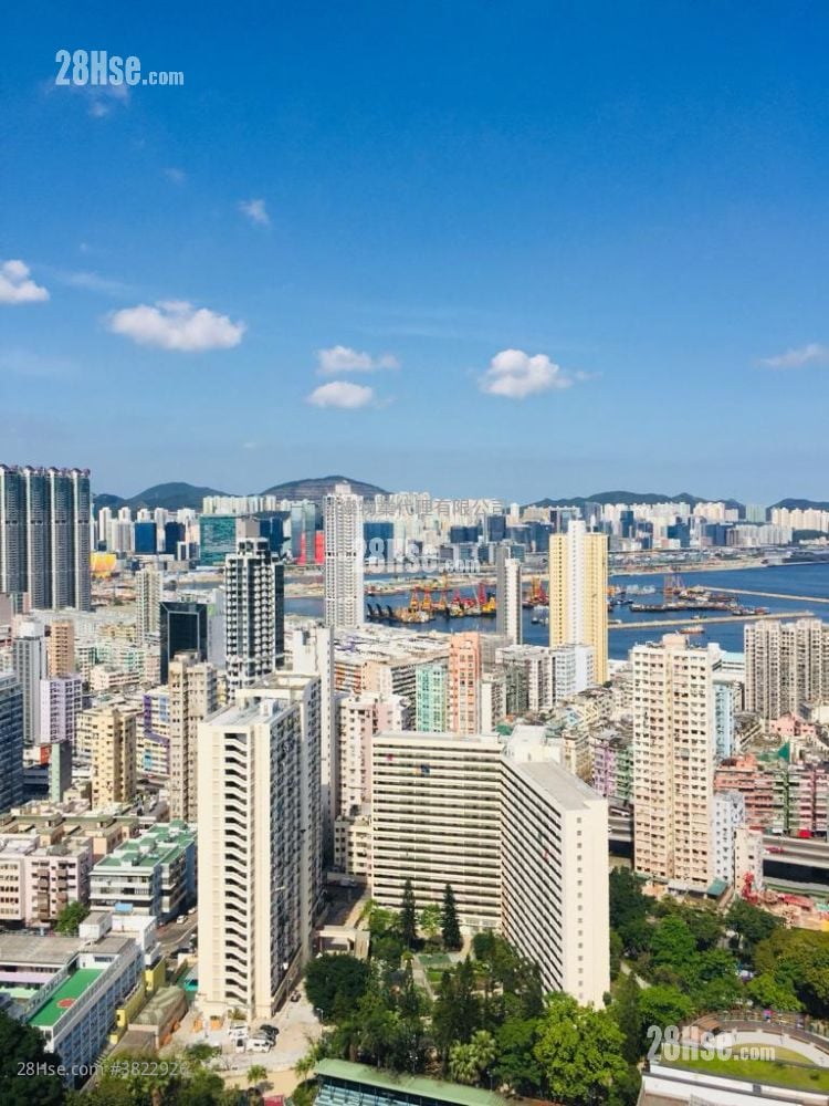 冠德苑 售盤 449 平方呎