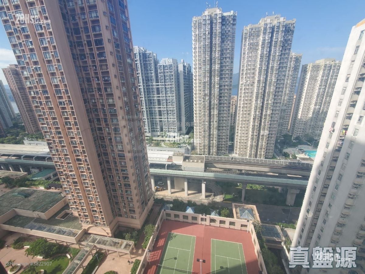 新港城 售盤 1 房 363 平方呎