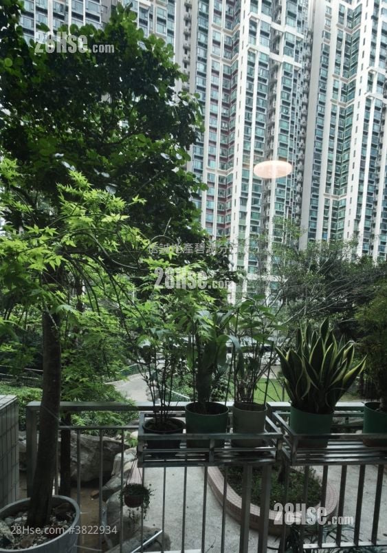 牽晴間 售盤 2 房 , 1 浴室 439 平方呎