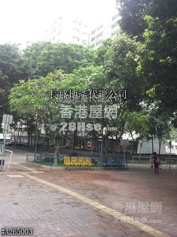 四周绿树成荫,空气清新