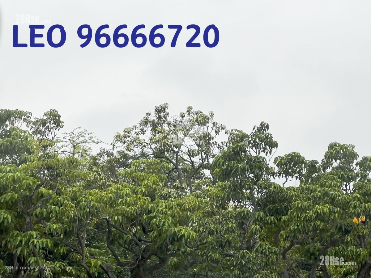 Inverness Villa Rental 3 Bedrooms 677 ft²