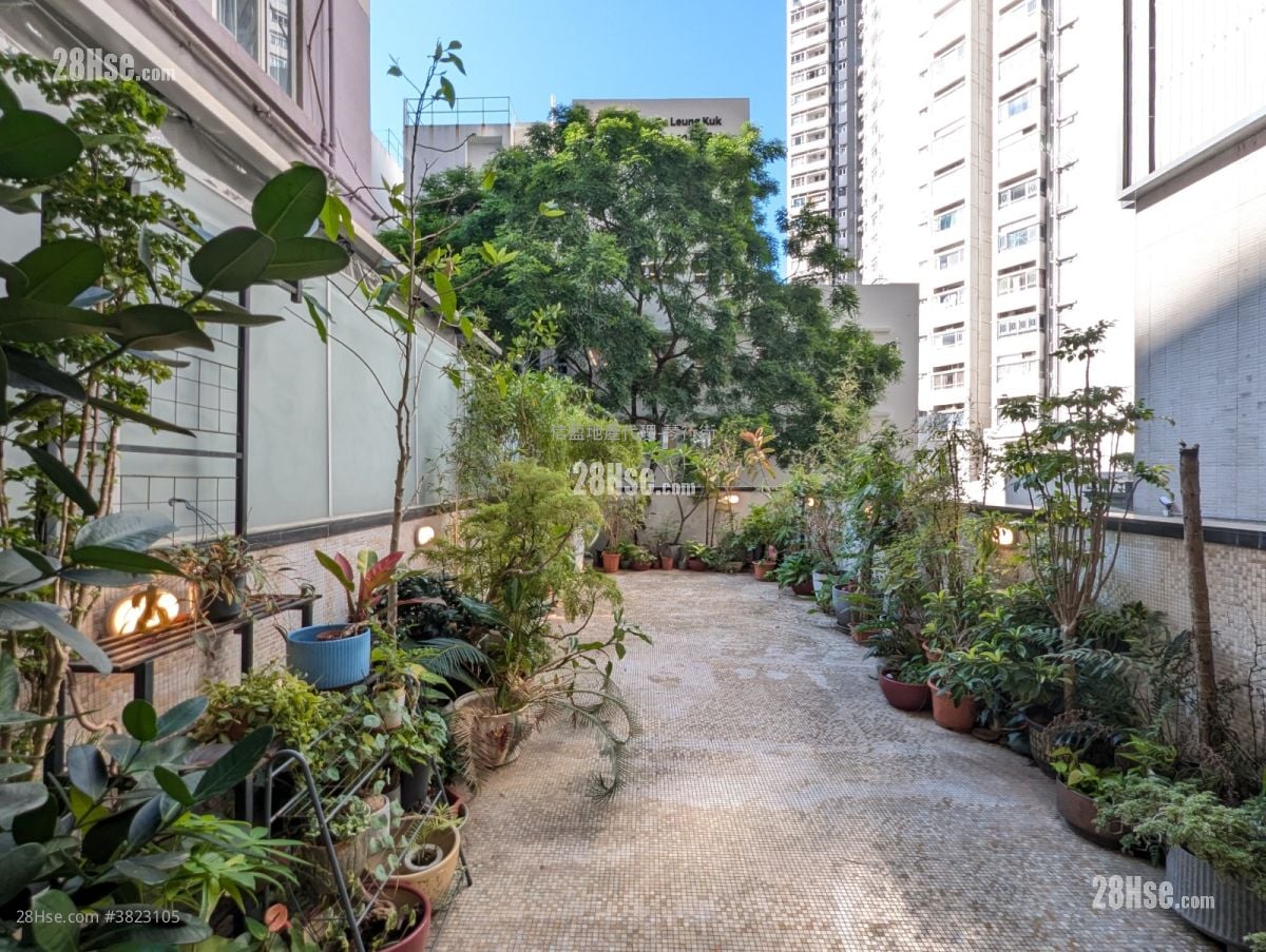 嘉洋大廈 租盤 1 房 , 1 浴室 278 平方呎