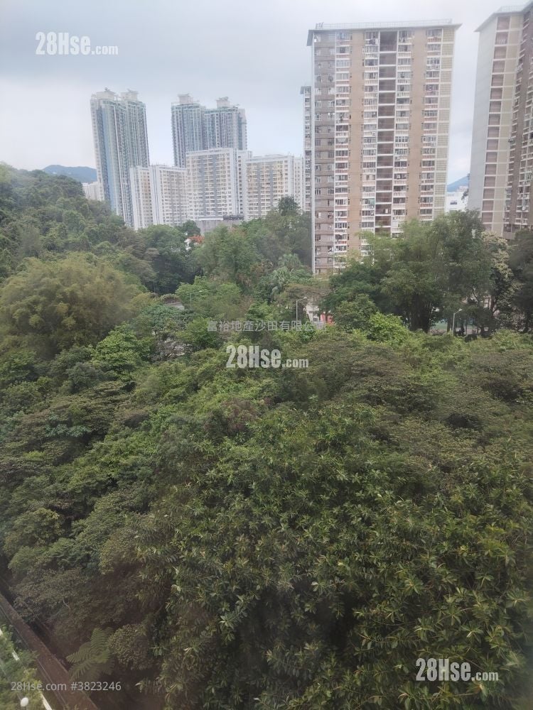 Golden Lion Garden Rental 2 Bedrooms , 1 Bathroom 266 ft²