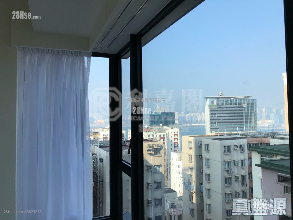 柏蔚山 租盤 1 房 , 1 浴室 570 平方呎