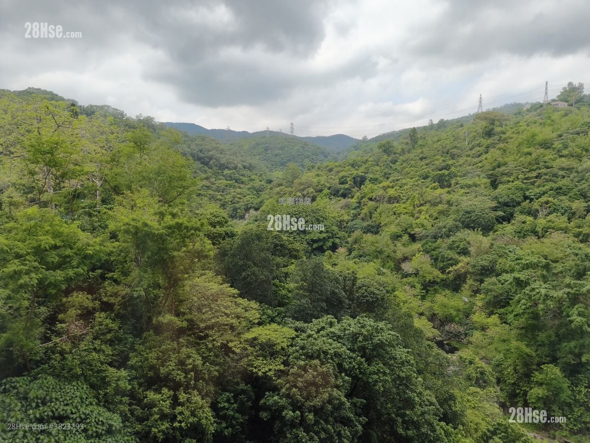 荃湾中心 售盘 2 房 , 1 浴室 374 平方尺