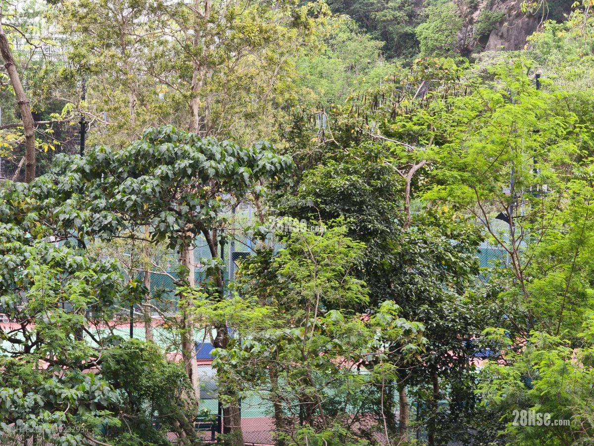 荃湾中心 售盘 2 房 , 1 浴室 374 平方尺