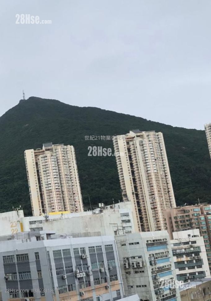 新翠花園 售盤 1 浴室 533 平方呎