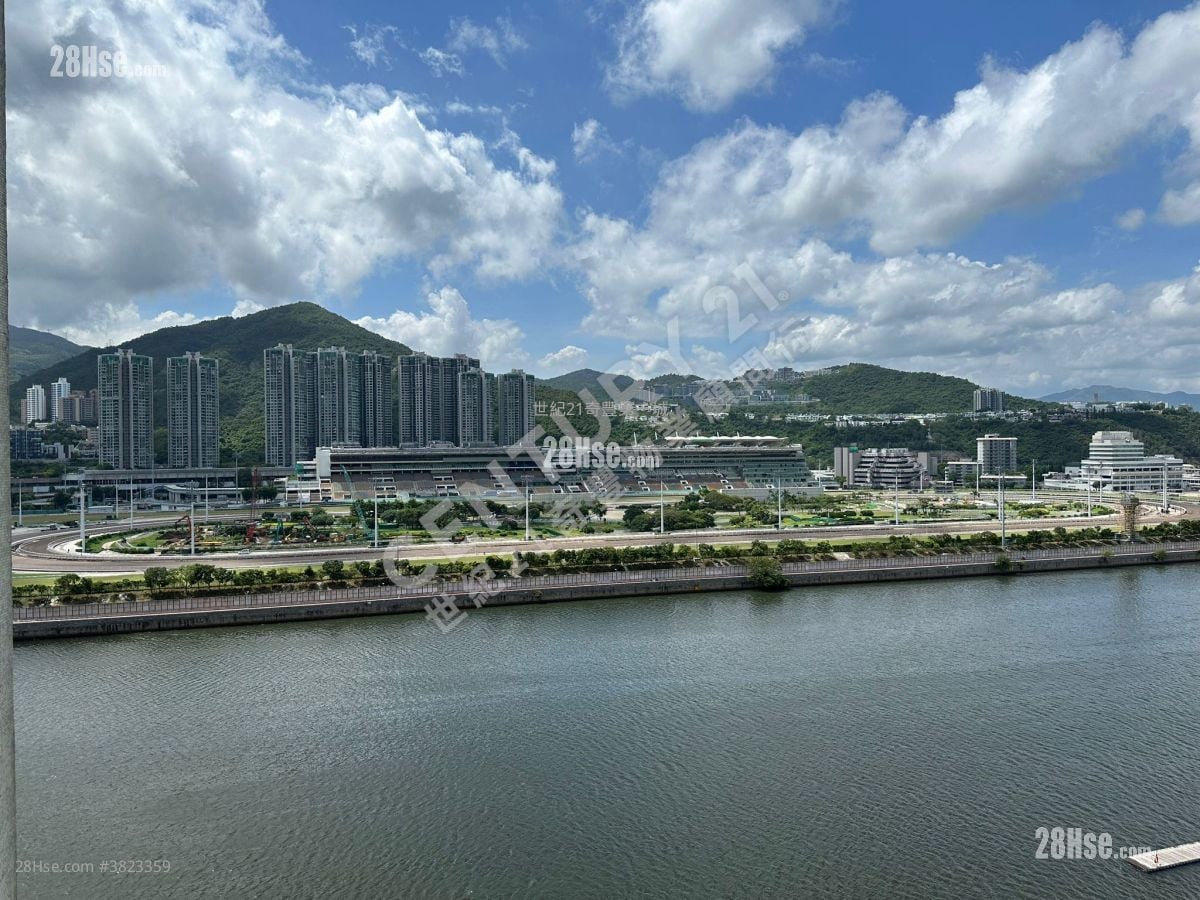 碧濤花園 售盤 3 房 , 2 浴室 842 平方呎