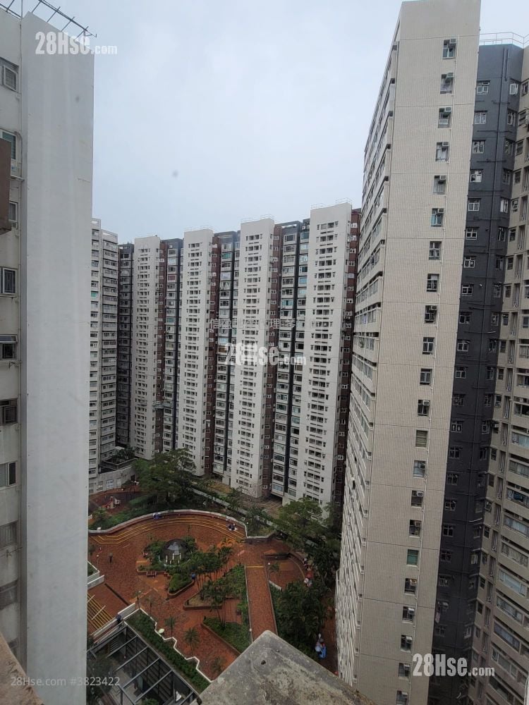 Ngan Fai  Building Rental 3 Bedrooms 361 ft²