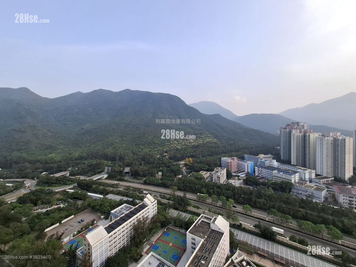 藍天海岸 租盤 531 平方呎